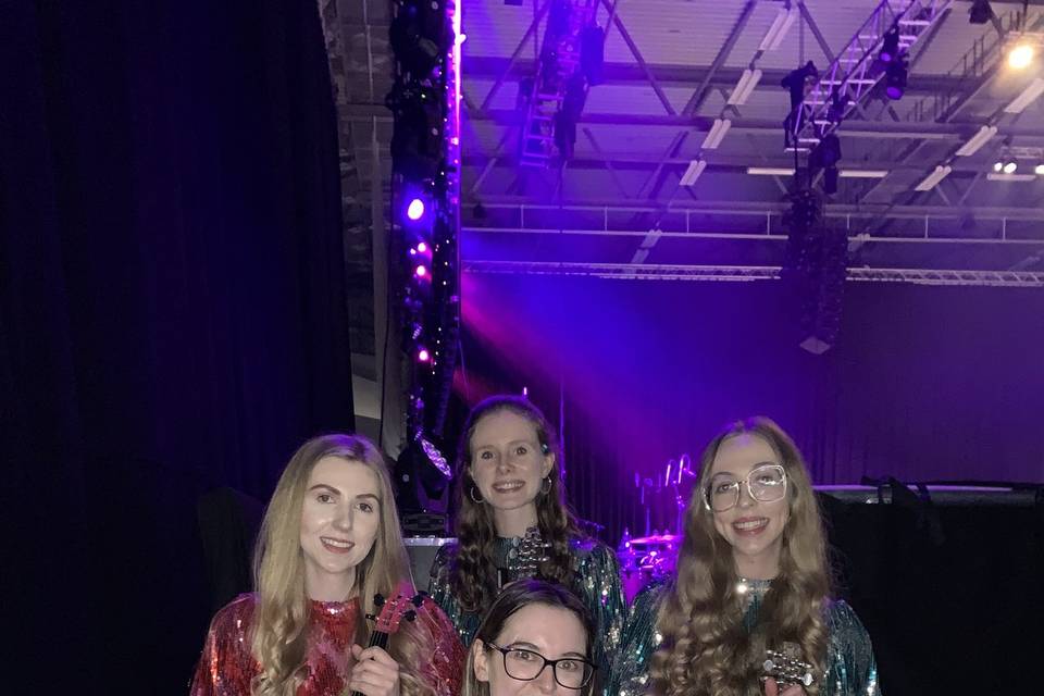 Griff Strings Electric Quartet