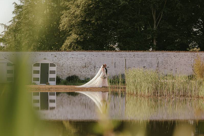 View through the grass