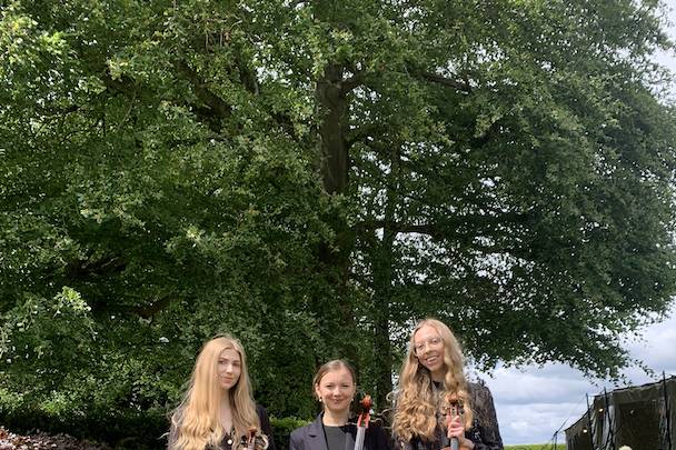 Griff Strings Acoustic Trio