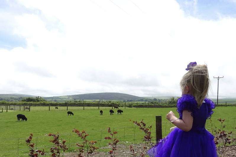 Views over Bodmin Moor