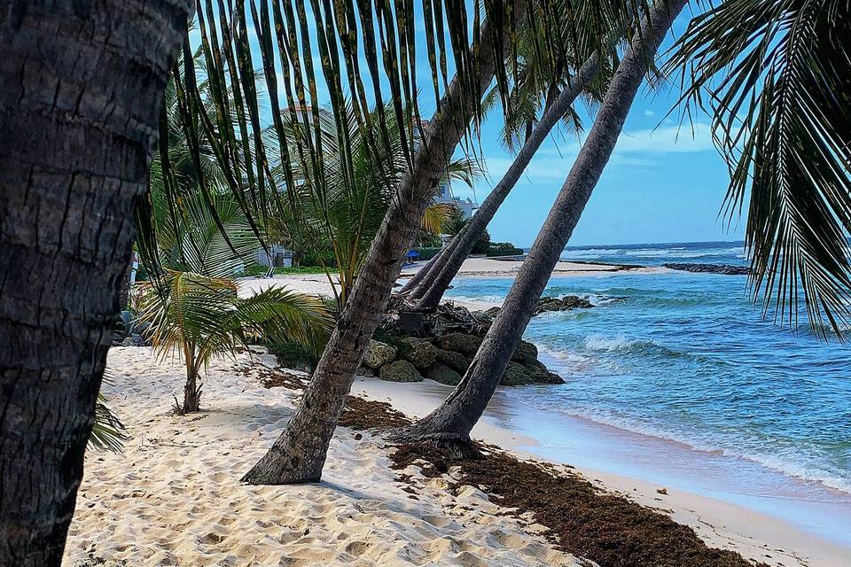 Barbados