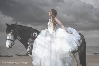 Carmen Falkenburg Photography