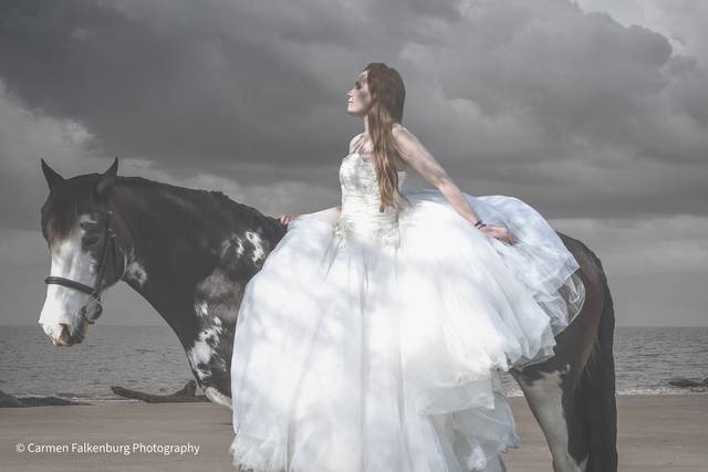 Carmen Falkenburg Photography