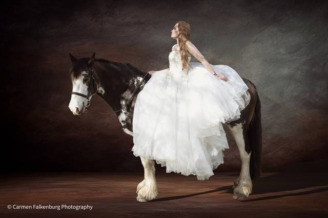 Carmen Falkenburg Photography