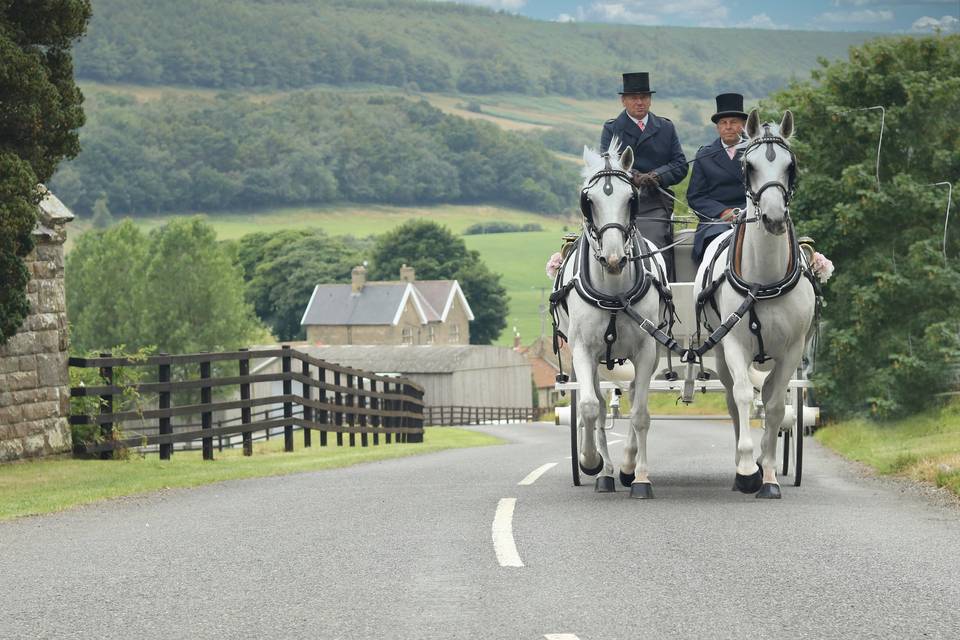 Horse Carriage Wedding