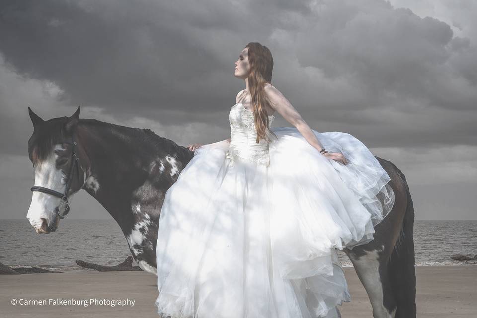 Carmen Falkenburg Photography