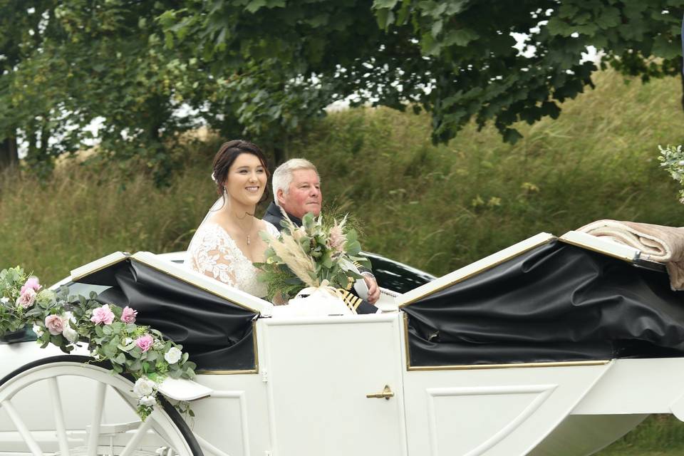 Bride in Carriage