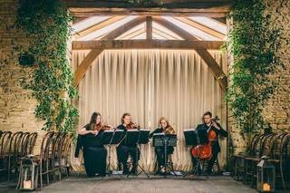 The Vyne String Quartet, Trio or Duo