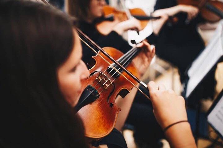 The Vyne String Quartet, Trio or Duo