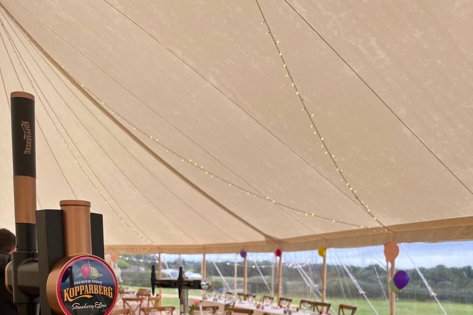 Outdoor Wedding