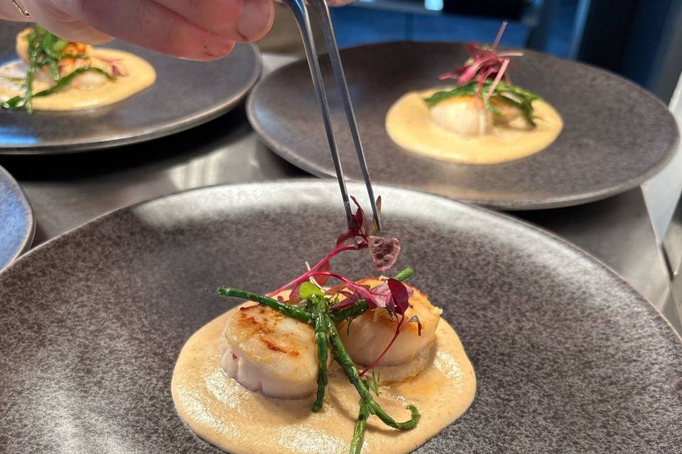 Scallop