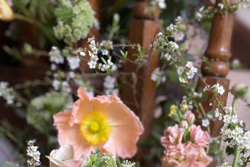 Our favourite flowers