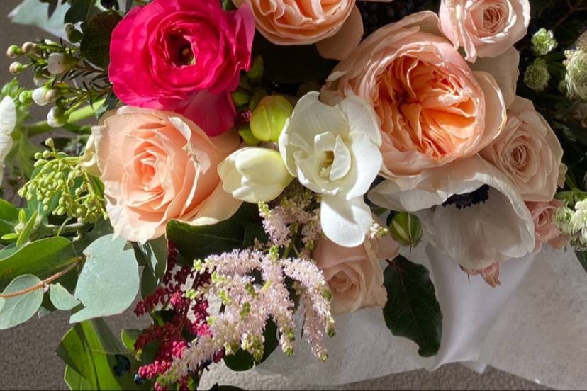 David Austin Roses