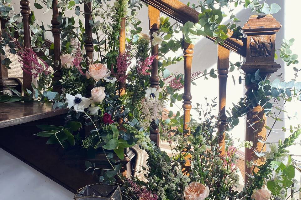 Flowers and light