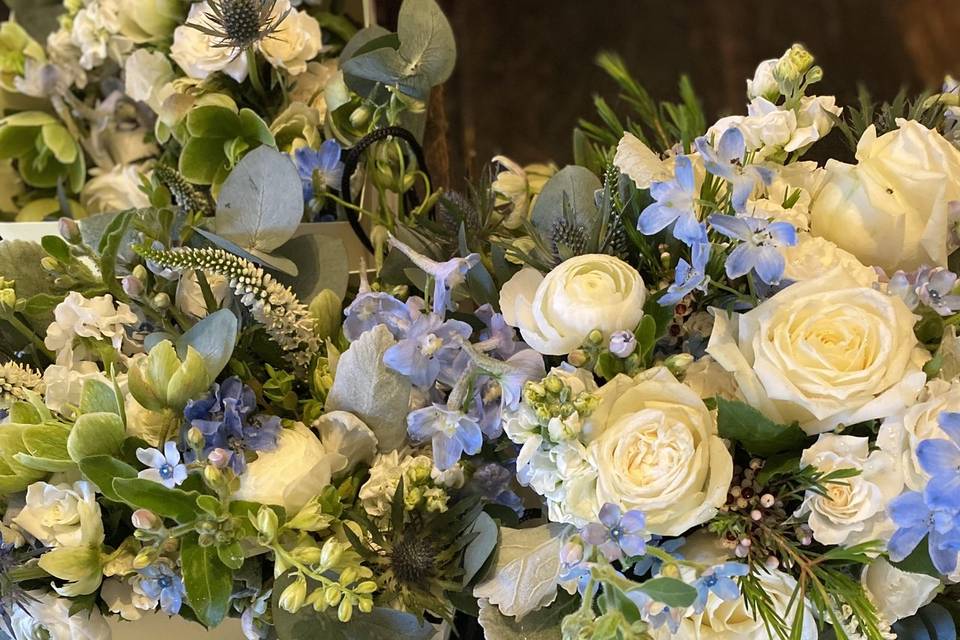 True blue and ivory