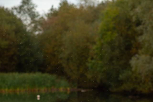 Village Hotel, Ashton