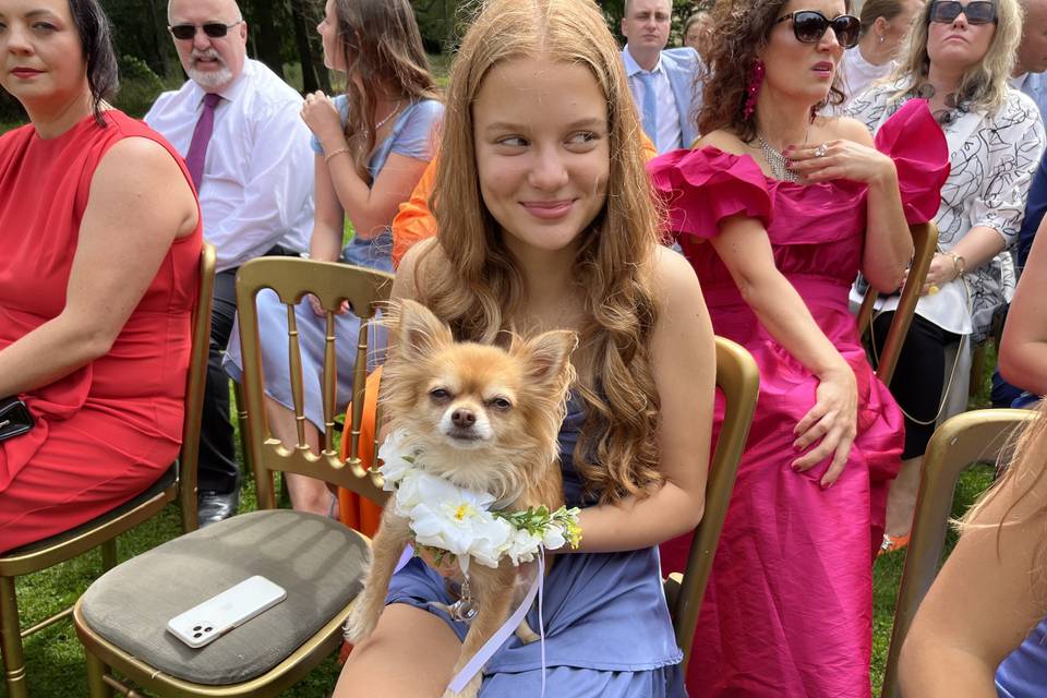 Not your typical ring bearer