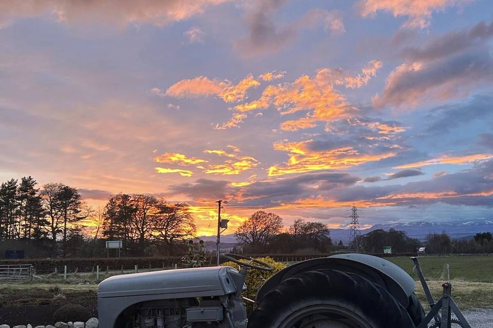 Sunset Vibes!