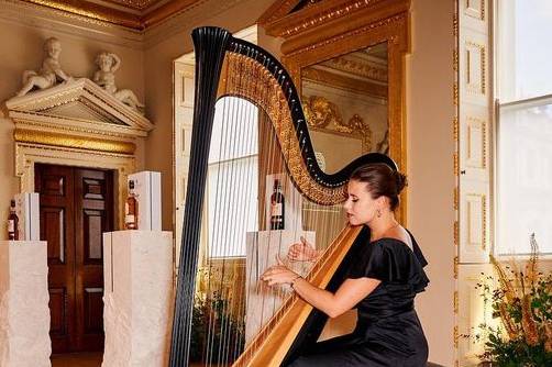 Harpists