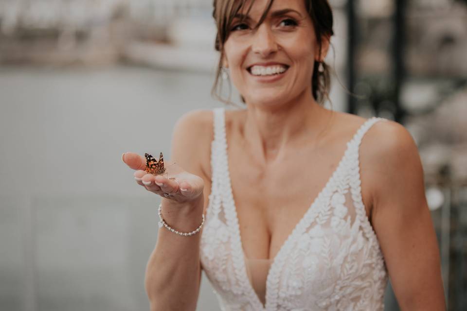 Wedding butterfly release