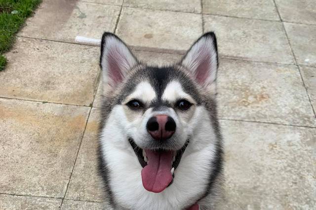 Luna
