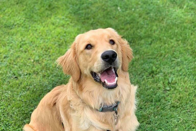 Bailey
