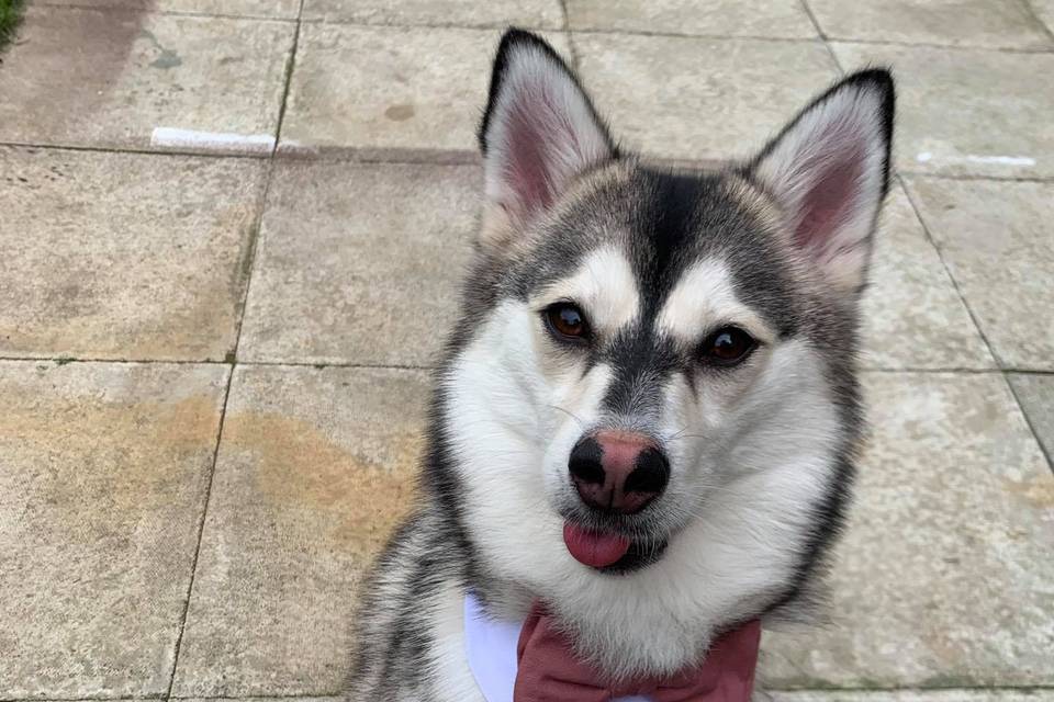 Luna