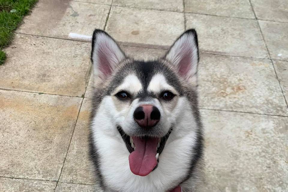 Luna