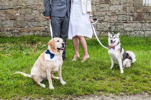 The big day