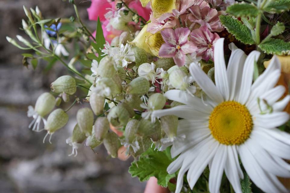 Wild summer bouquet closeup