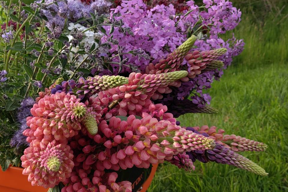 Buckets of spring flowers