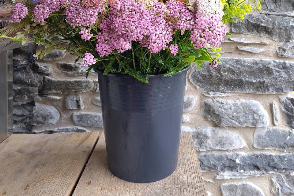 Buckets of summer flowers