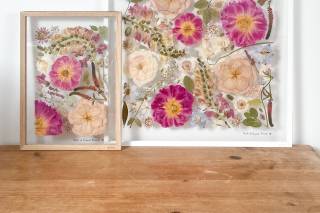 Fields of Pressed Flowers