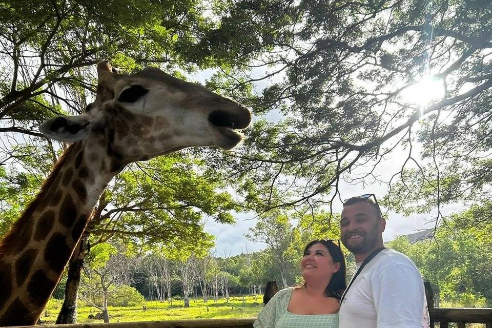 Amber & Luke Mauritius