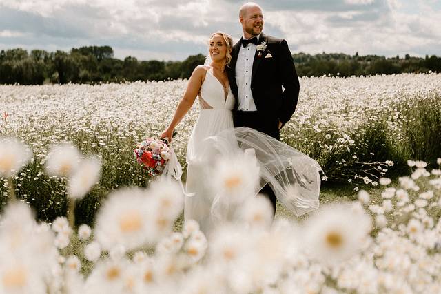 Wildflower pictures