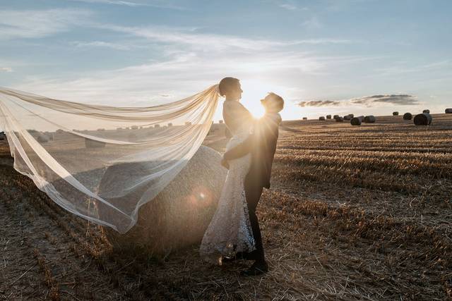 Field