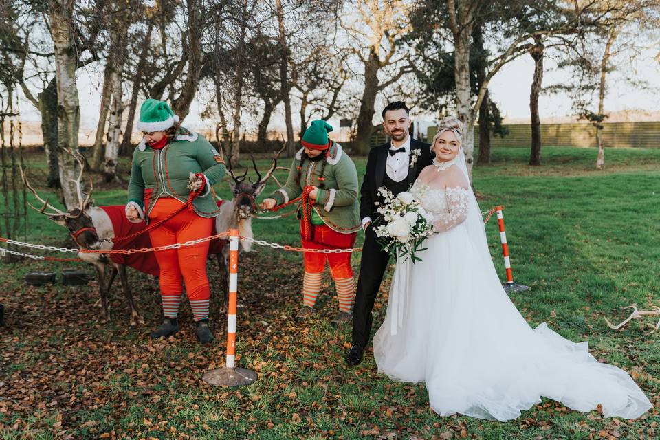 Reindeers