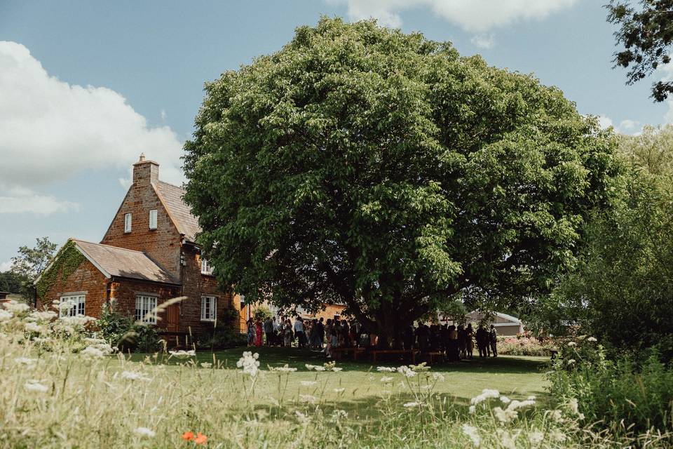 Orchard ceremony