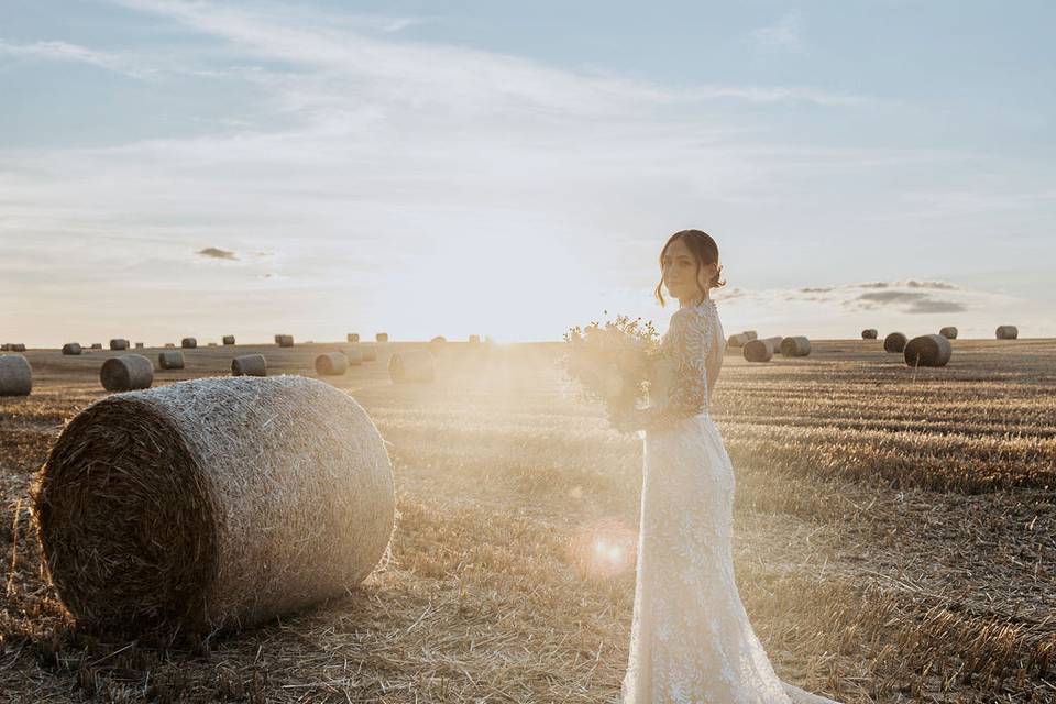 Field