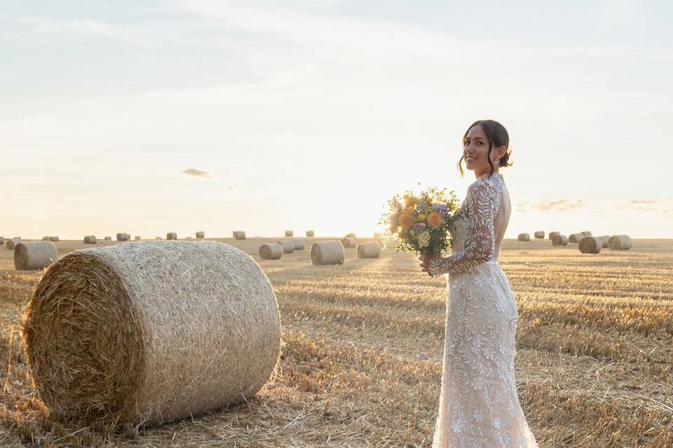 Field