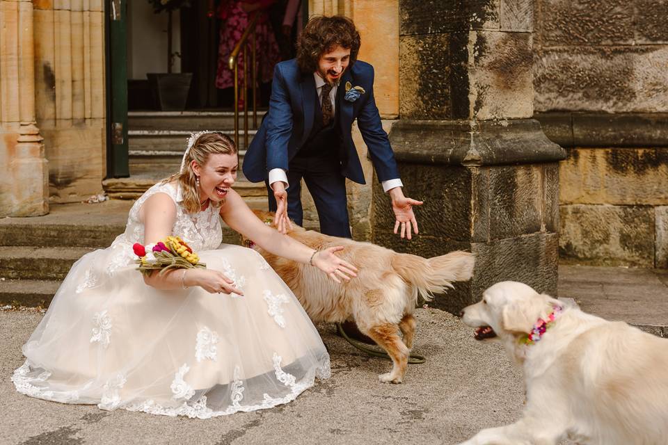 Dogs at weddings