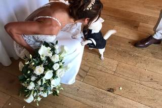 The Eventful Pup - Wedding Dog Chaperone