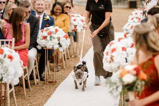 The Eventful Pup - Wedding Dog Chaperone