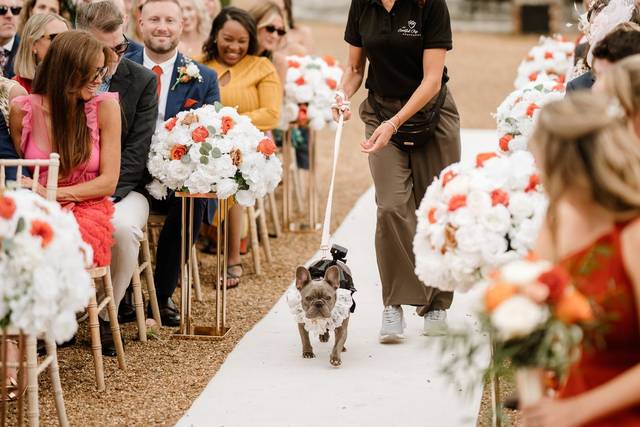 The Eventful Pup - Wedding Dog Chaperone