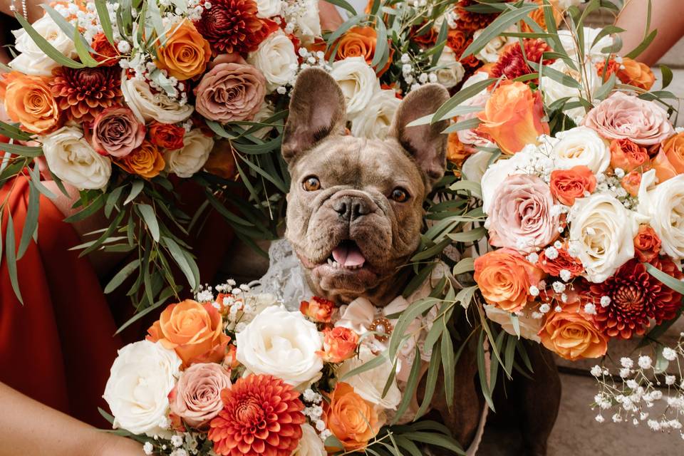 Rolo flower trend photo