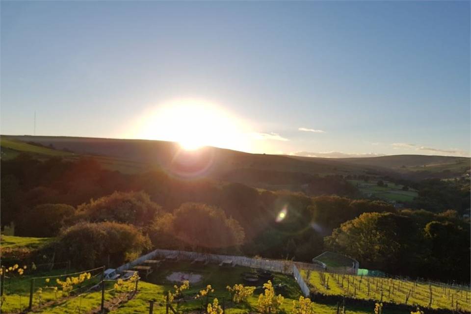 Holmfirth Vineyard Views