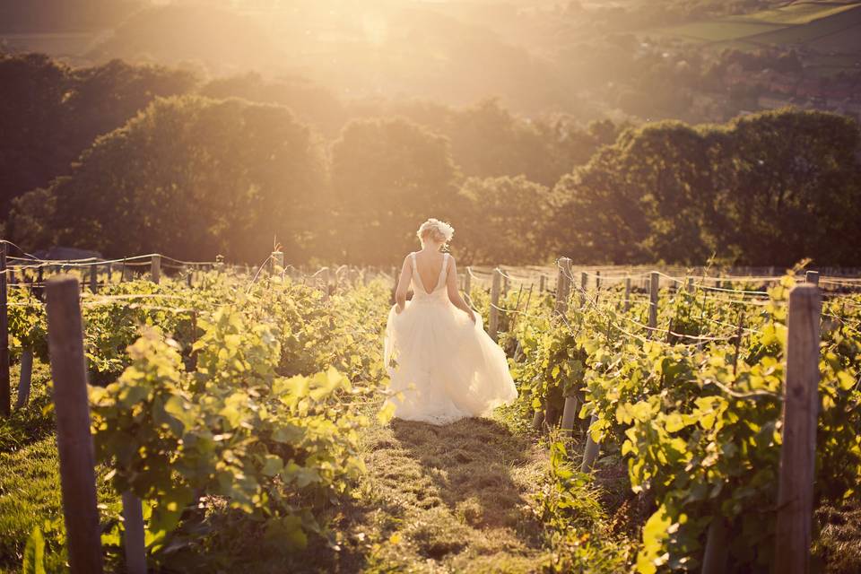 Holmfirth Vineyard