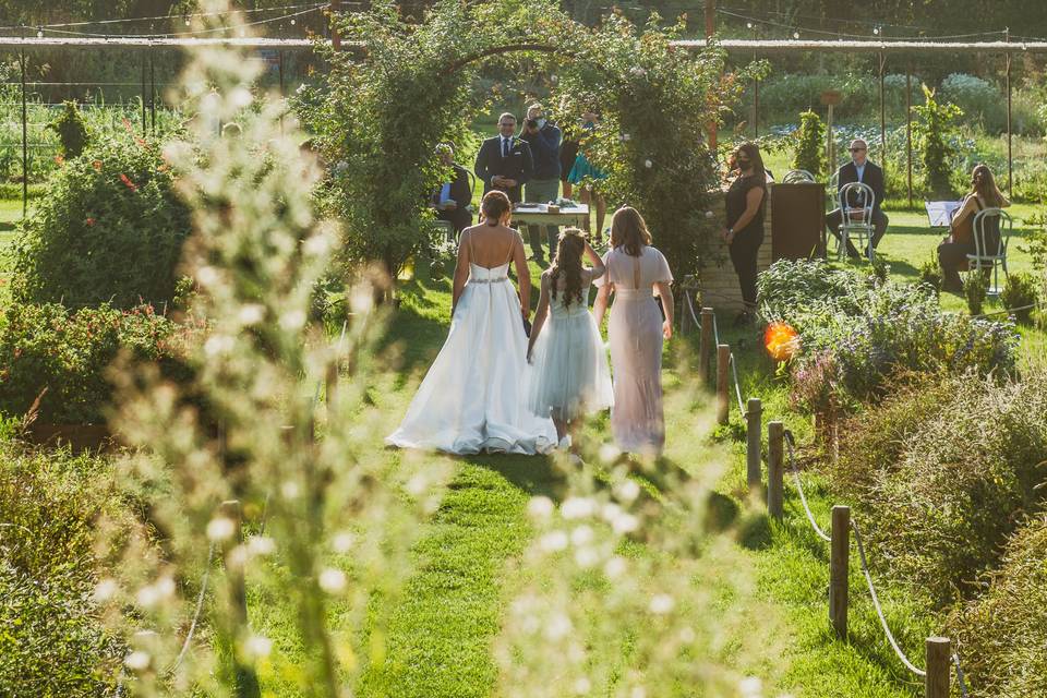 Walking down the aisle