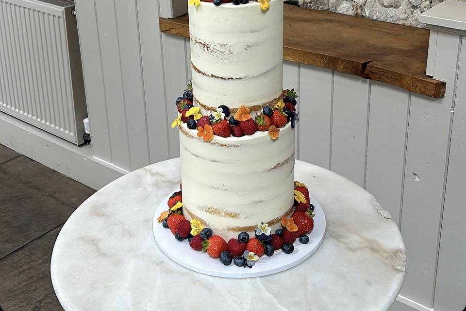 Semi Naked 2 Tier with Fruit