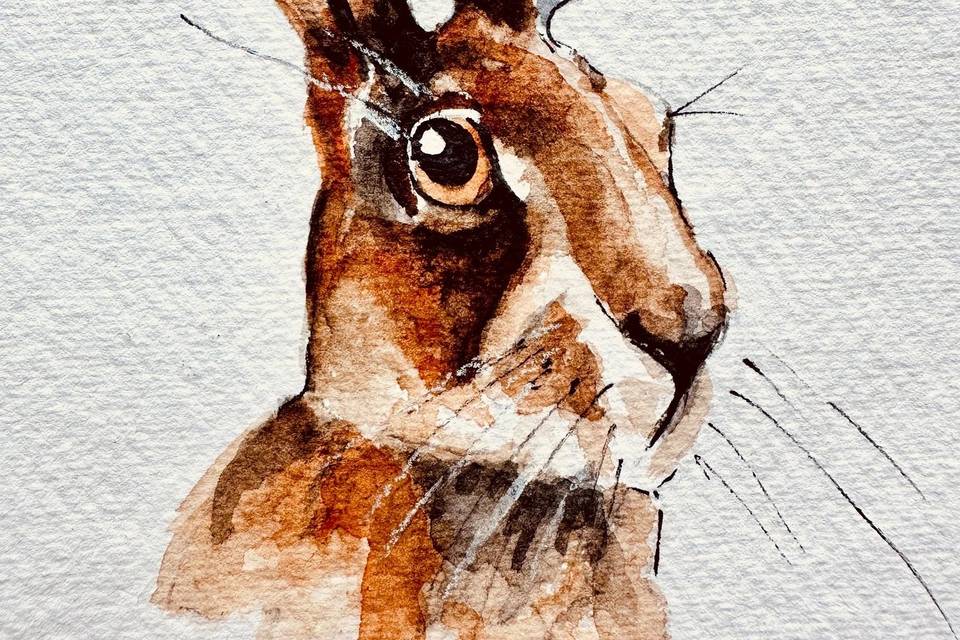 Hand painted Watercolour Hare